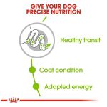 غذای سگ ایکس اسمال ادالت رویال کنین - Image 2
